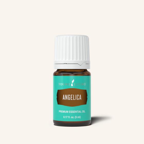 Angelica Essential Oil (Young Living Essential Oils)