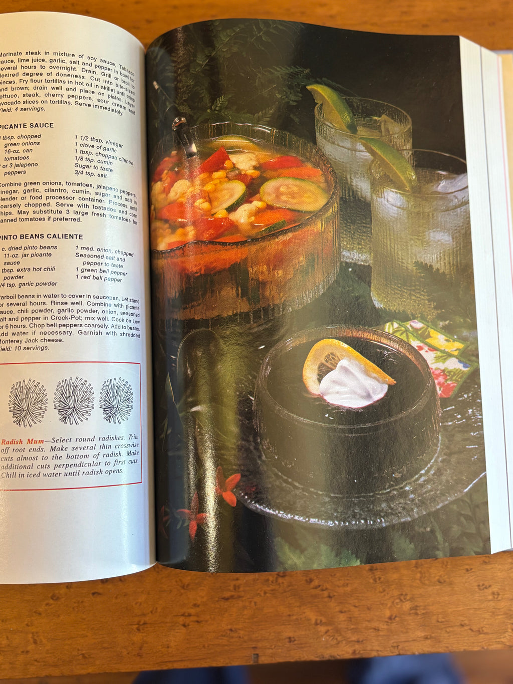 The Illustrated Encyclopedia of American Cooking