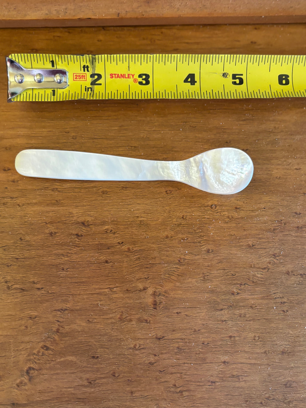 Mother of Pearl Spoon