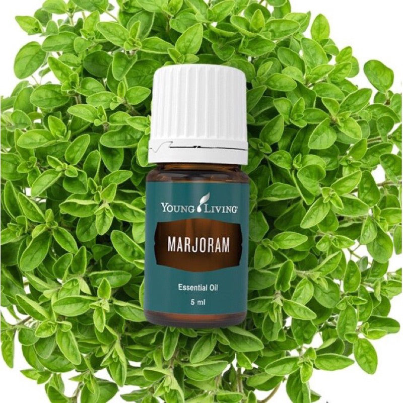 Marjoram Essential Oil (Young Living Essential Oils)