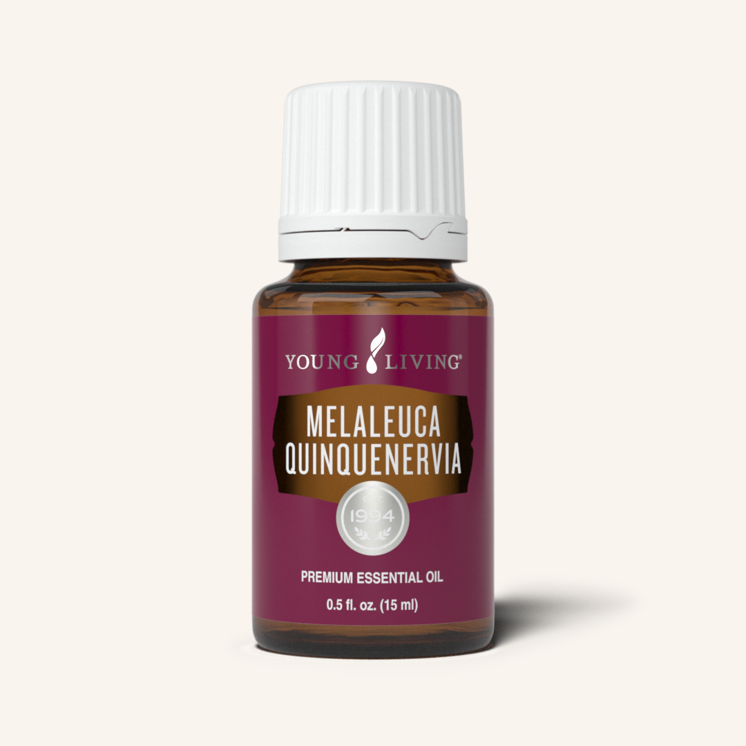 YOUNG LIVING: MELALEUCA QUINQUENERVIA ESSENTIAL OIL 15 ML