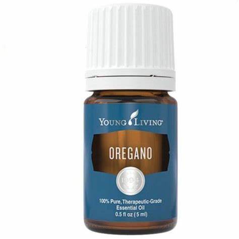 Oregano Essential Oil (Young Living Essential Oils)