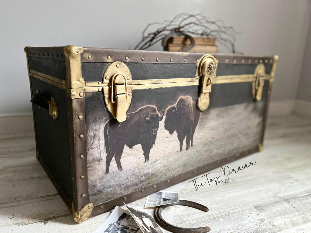 Belles and Whistles Premium Decoupage Rice Paper 22.83" x 33.3" / Dixie Belle Paint