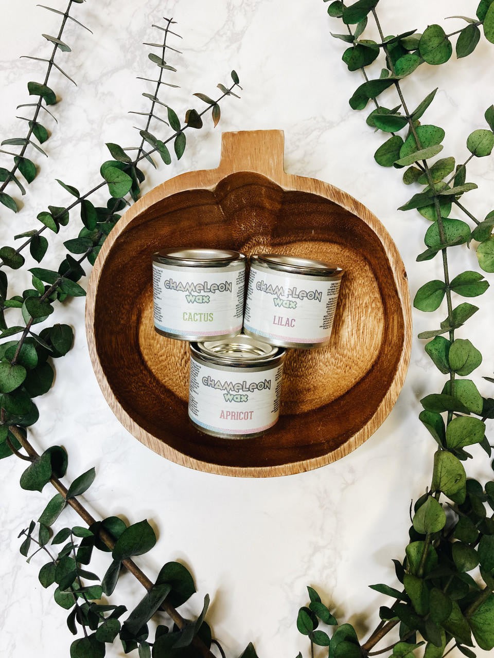 Chameleon Wax / Dixie Belle Chalk Mineral Paint