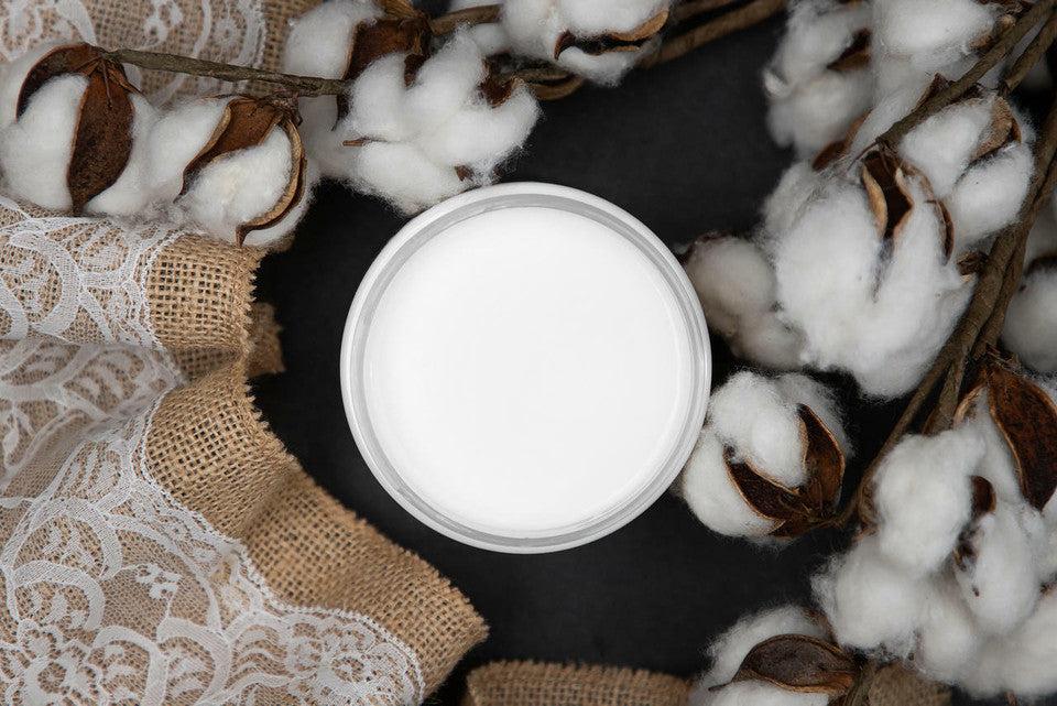 Cotton / Dixie Belle Chalk Mineral Paint