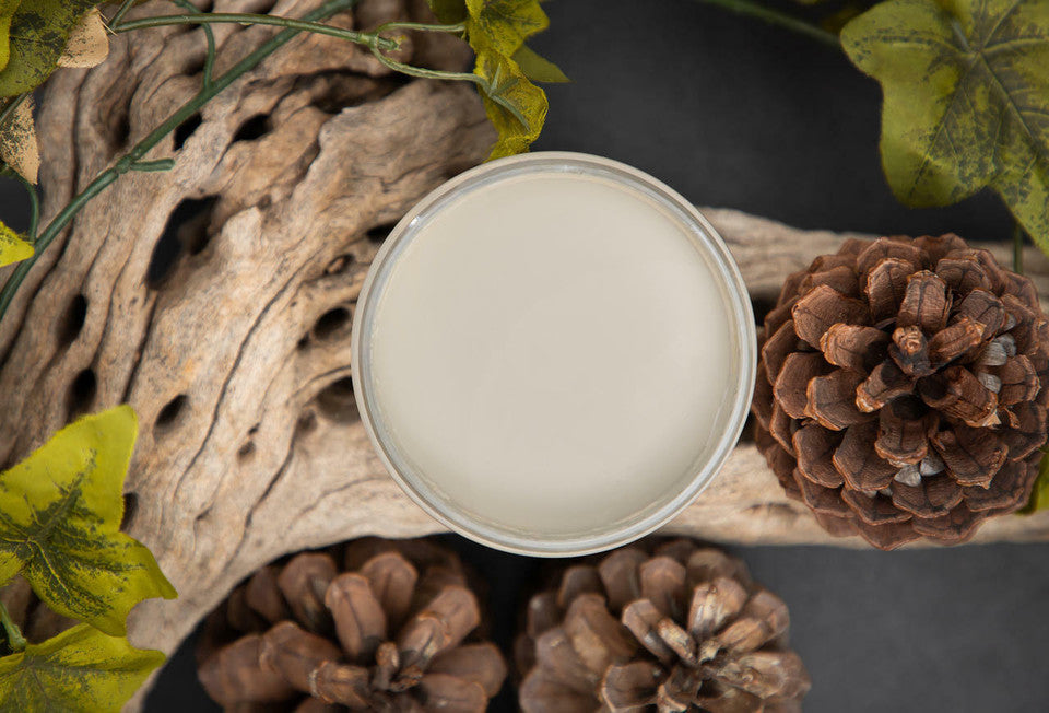 Dried Sage / Dixie Belle Chalk Mineral Paint