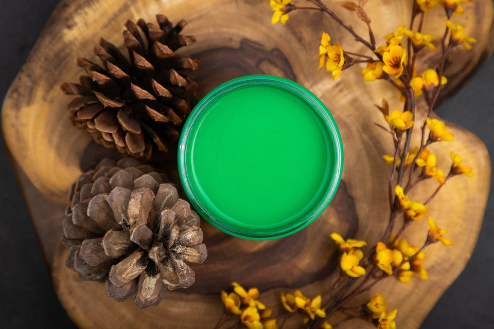 Tree Frog Green / Dixie Belle Chalk Mineral Paint