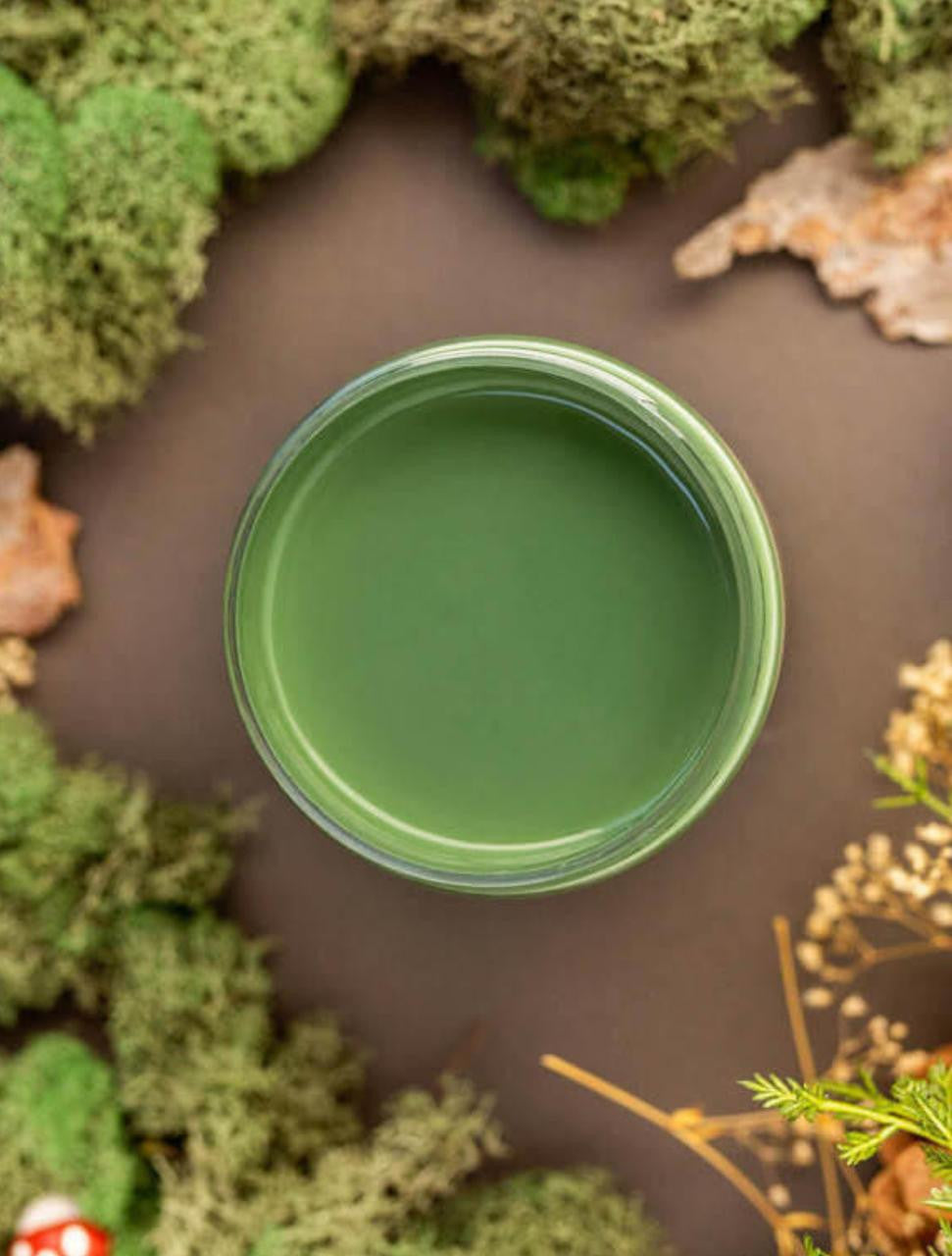 English Ivy / Dixie Belle Chalk Mineral Paint