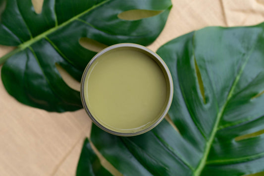 Everglades / Dixie Belle Silk Mineral Paint