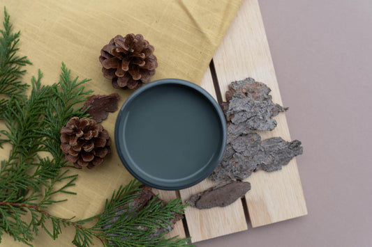 Smoky Mountains / Dixie Belle Silk Mineral Paint