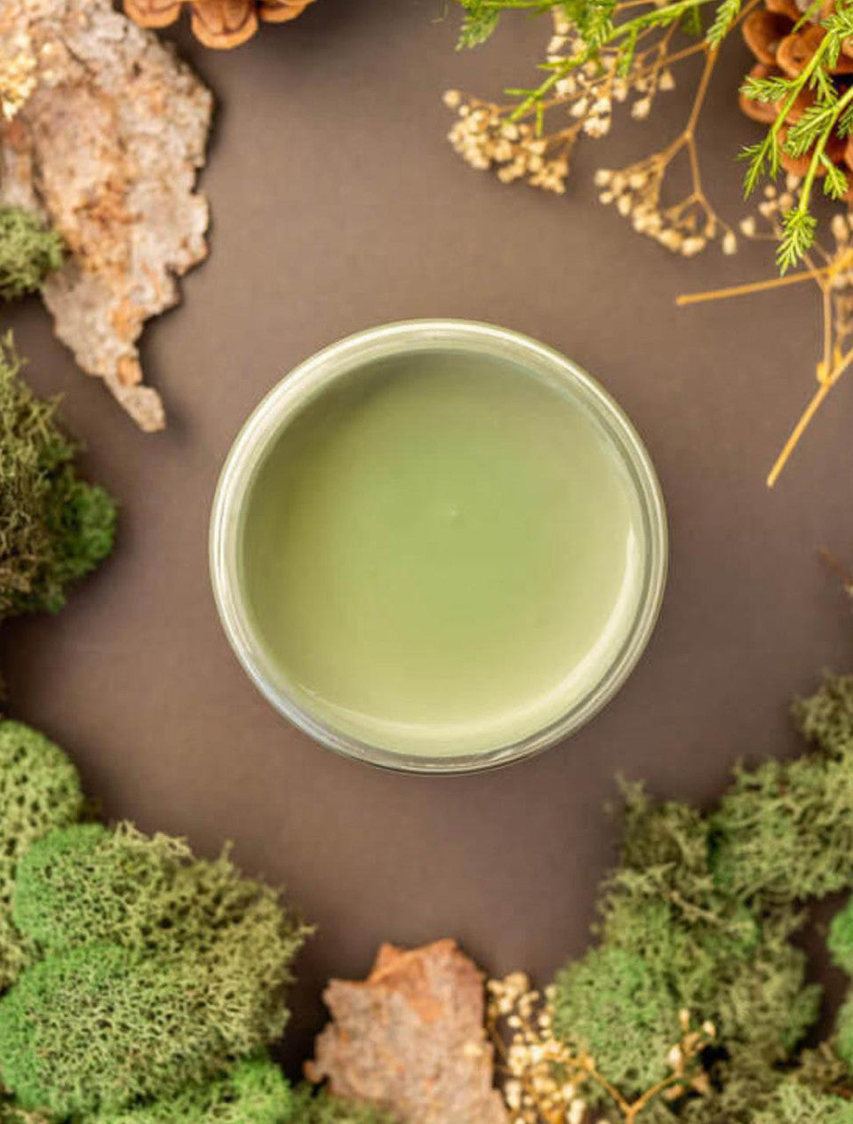 Weeping Willow / Dixie Belle Chalk Mineral Paint