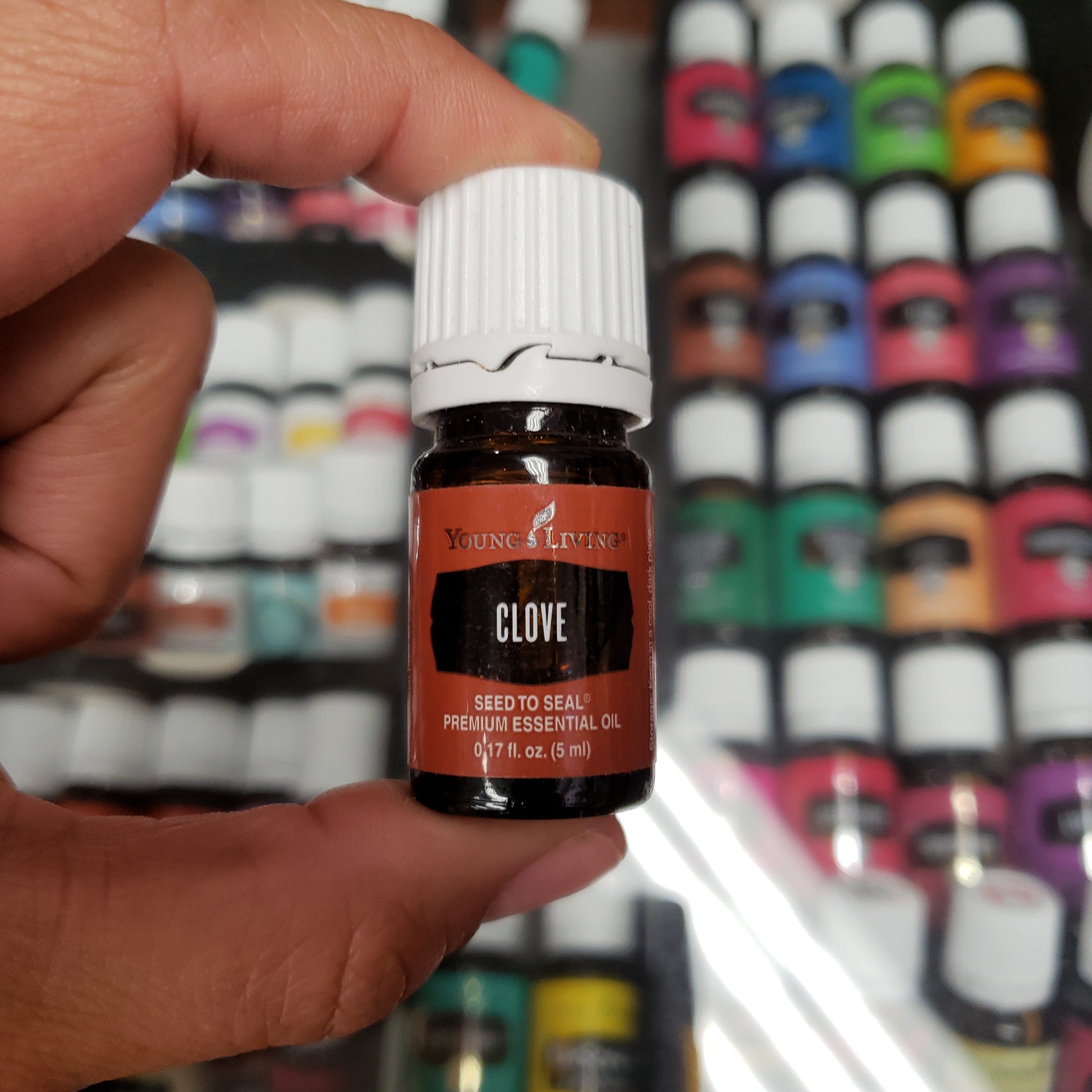 Clove (Young Living Essential Oils)