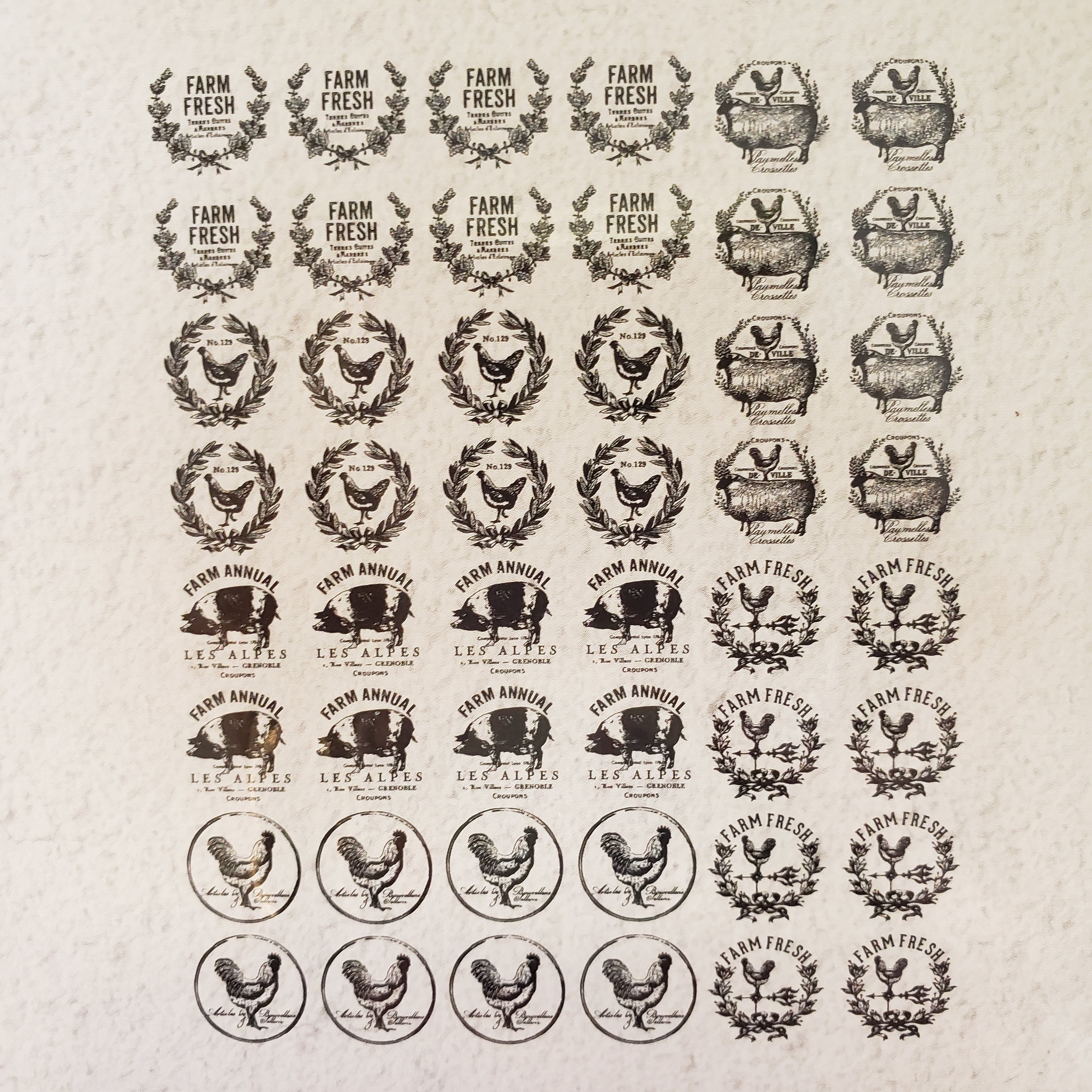 Knob Transfer / Dixie Belle Chalk Mineral Paint