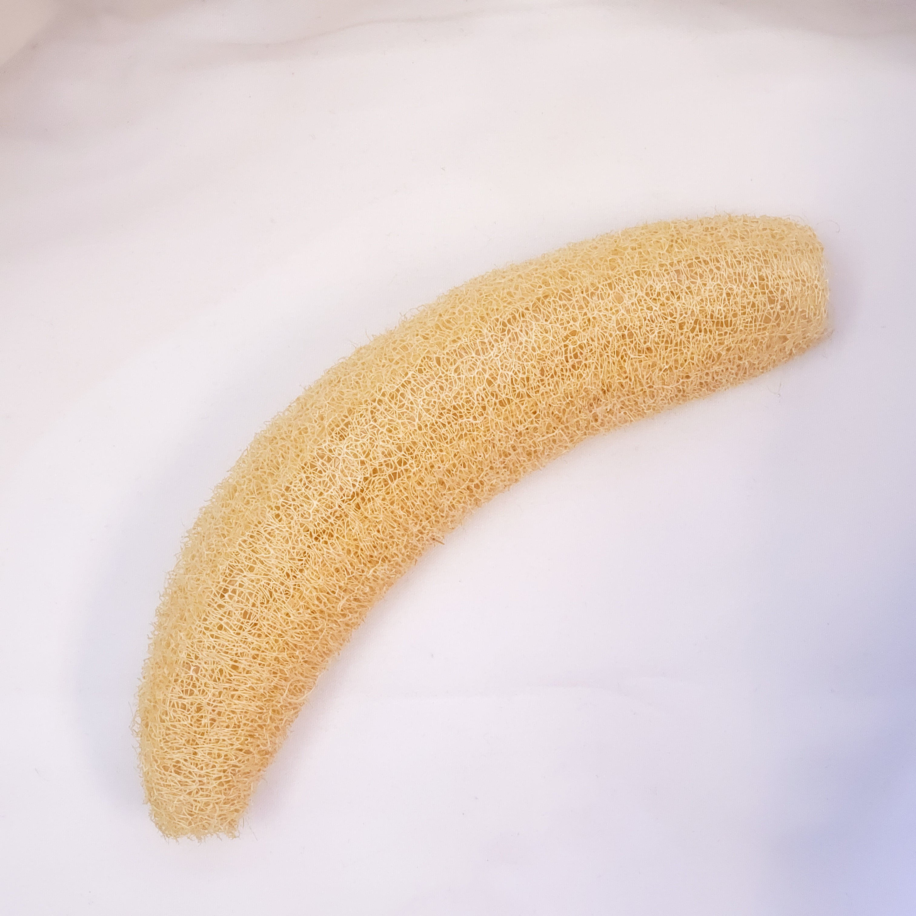 Natural Loofah (Africa)