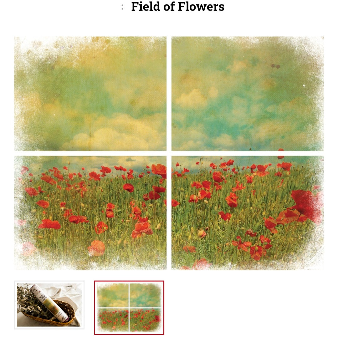 Belles & Whistles brand Transfers from Dixie Belle Paint