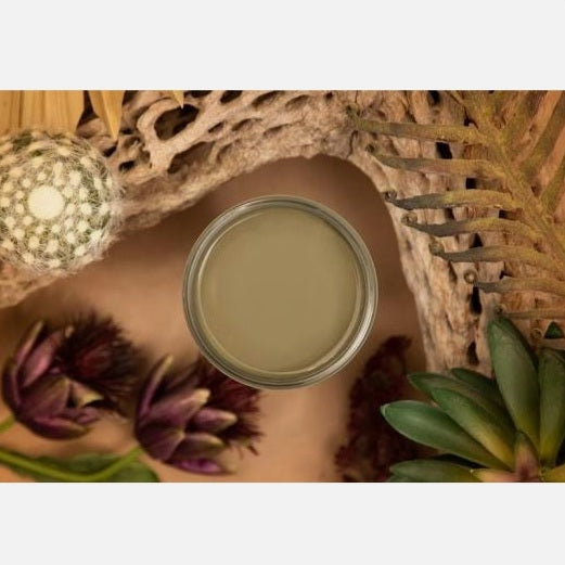 Cactus / Dixie Belle Silk Mineral Paint