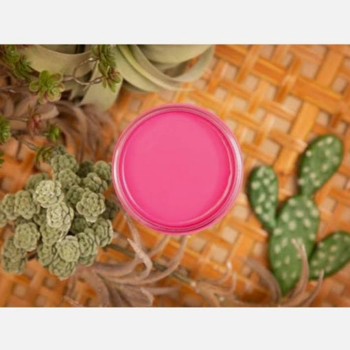 Prickly Pear / Dixie Belle Silk Mineral Paint