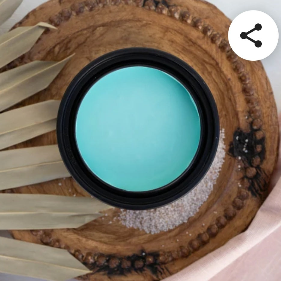 Lani's Lagoon Terra Clay Paint / Dixie Belle Paint