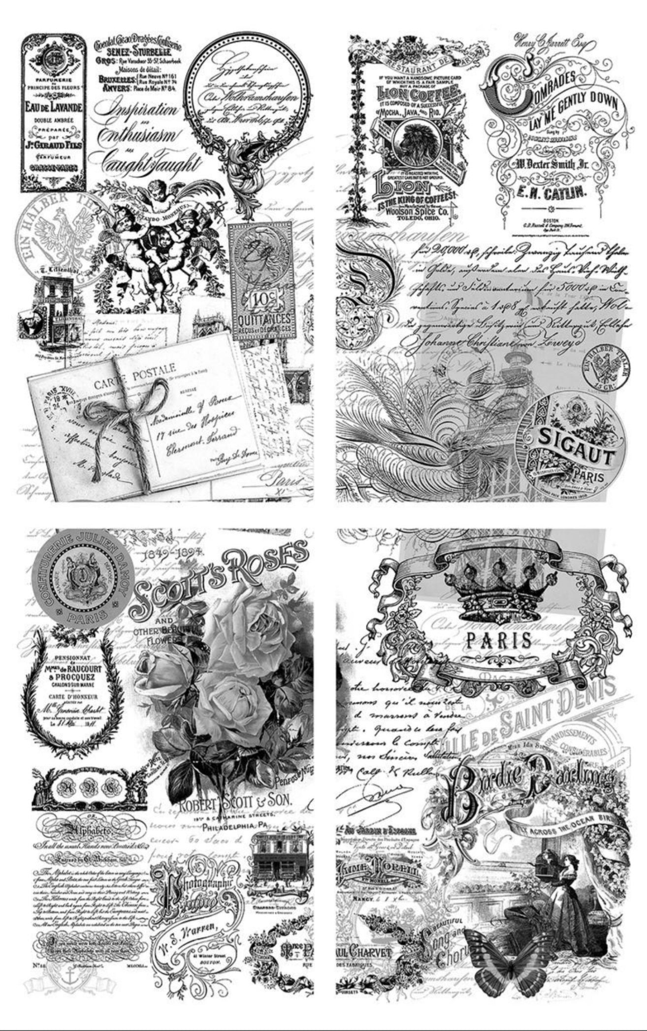 Belles & Whistles brand Transfers from Dixie Belle Paint
