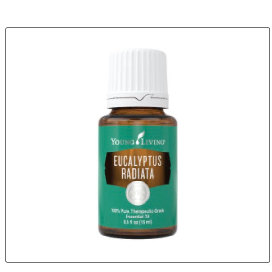 Eucalyptus Radiata Essential Oil (Young Living Essential Oils)