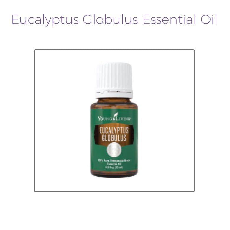 Eucalyptus Globulus Essential Oil (Young Living Essential Oils)