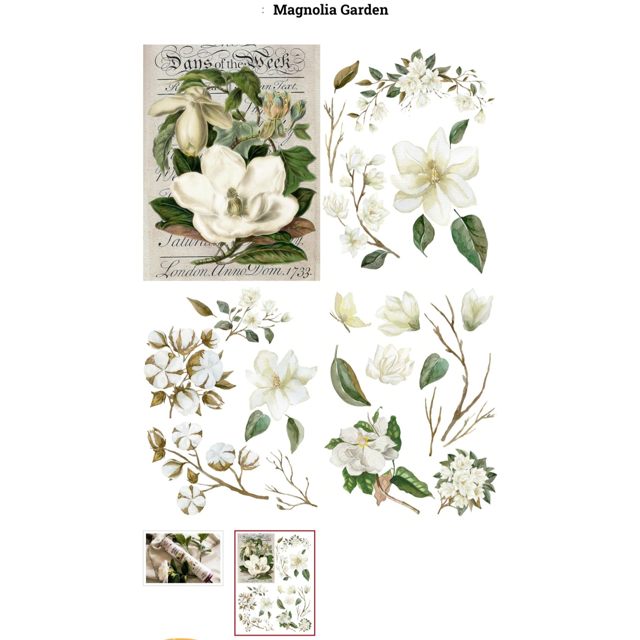 Belles & Whistles brand Transfers from Dixie Belle Paint