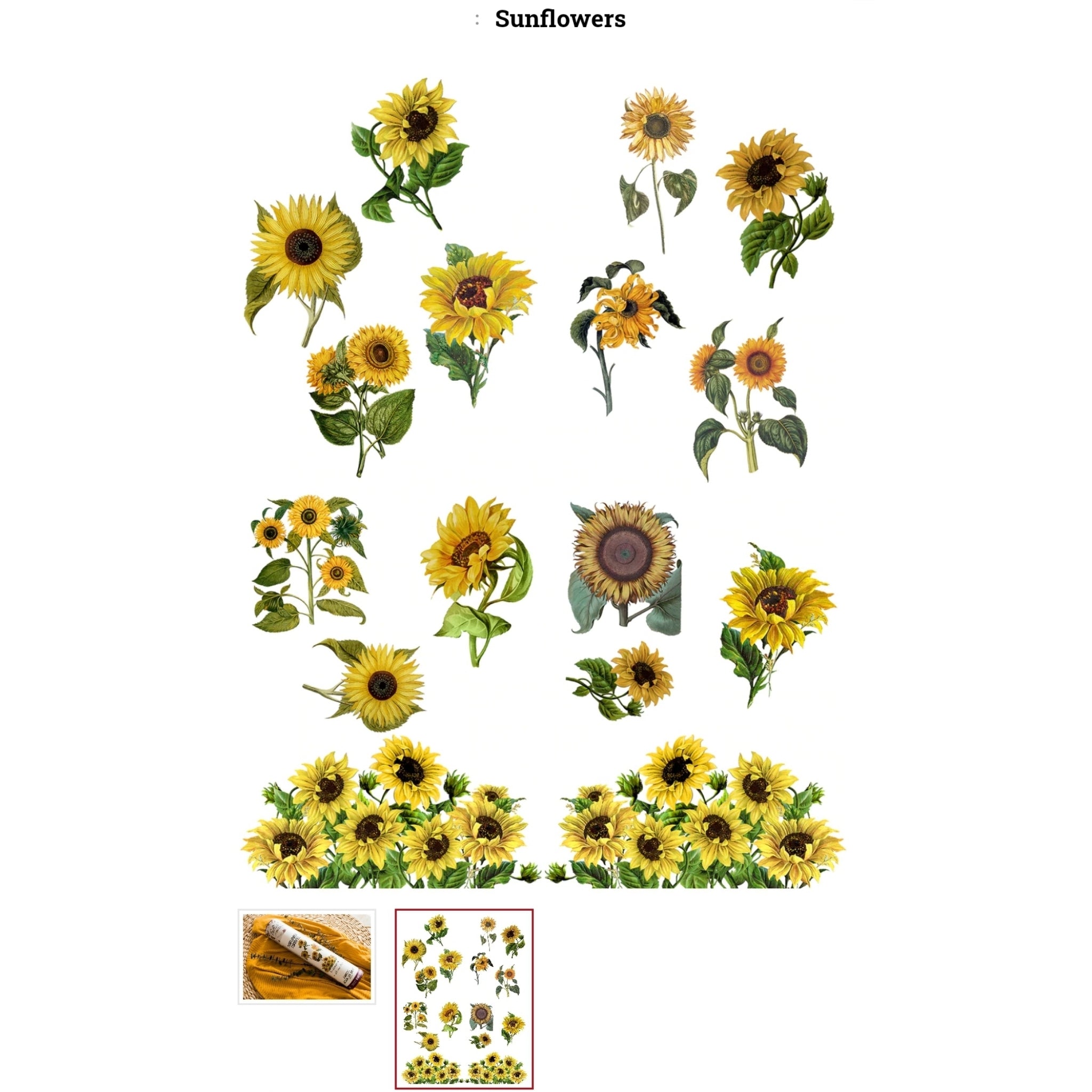 Belles & Whistles brand Transfers from Dixie Belle Paint