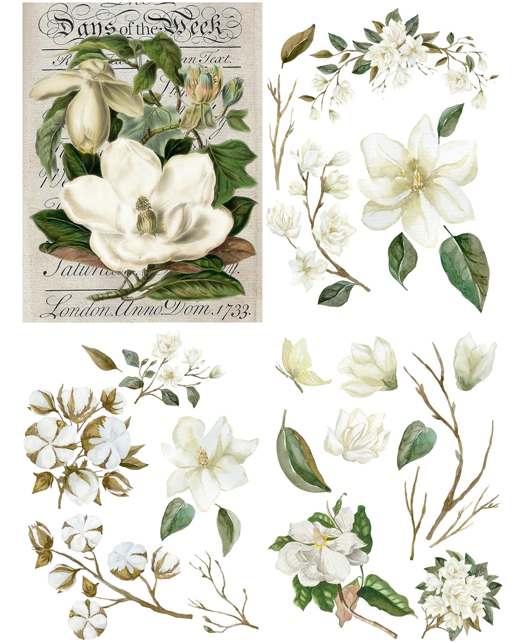 Belles & Whistles brand Transfers from Dixie Belle Paint