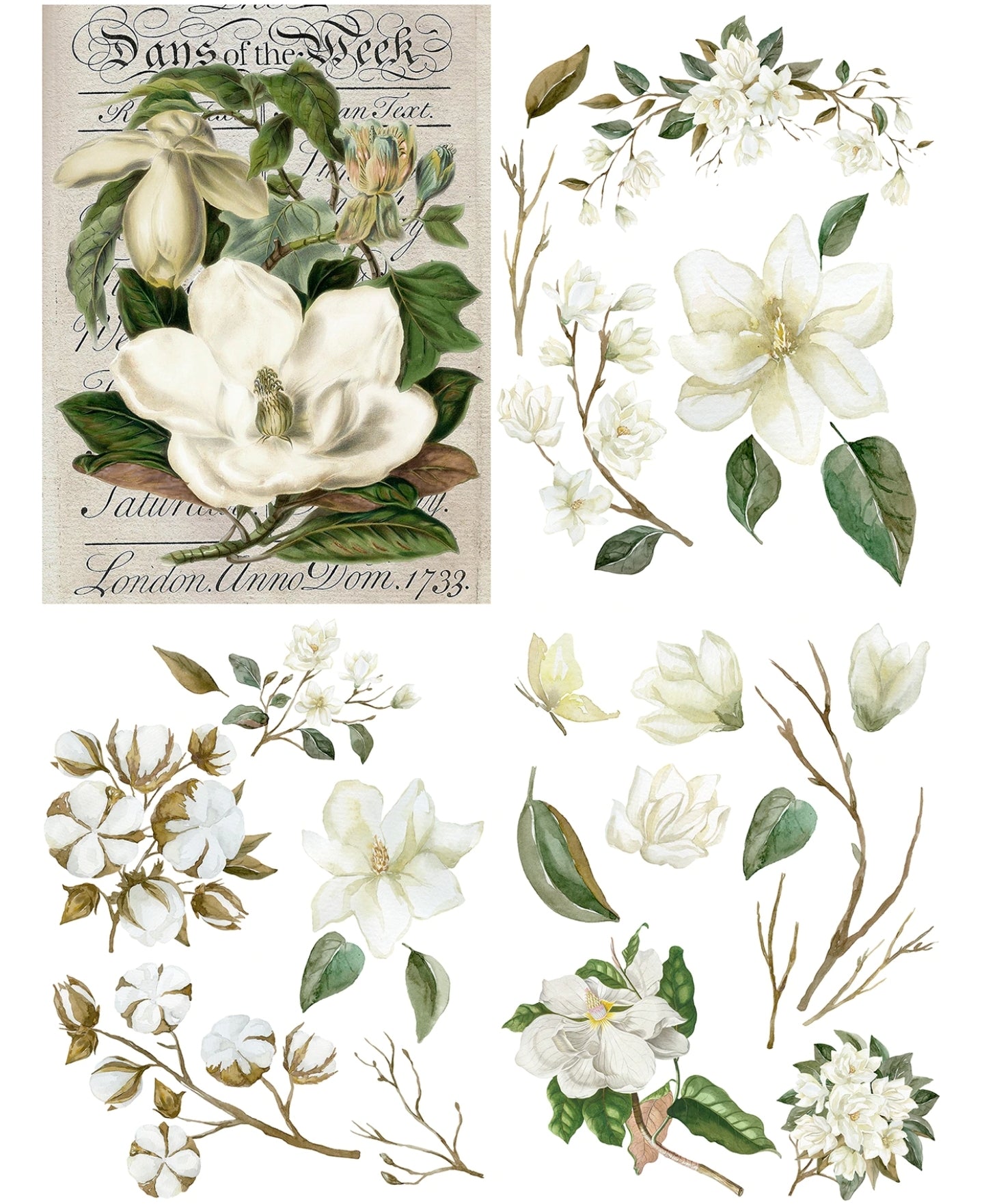 Belles & Whistles brand Transfers from Dixie Belle Paint