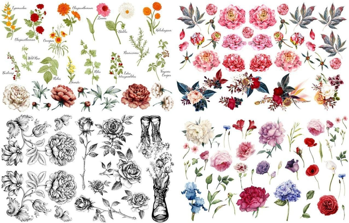 Belles & Whistles brand Transfers from Dixie Belle Paint