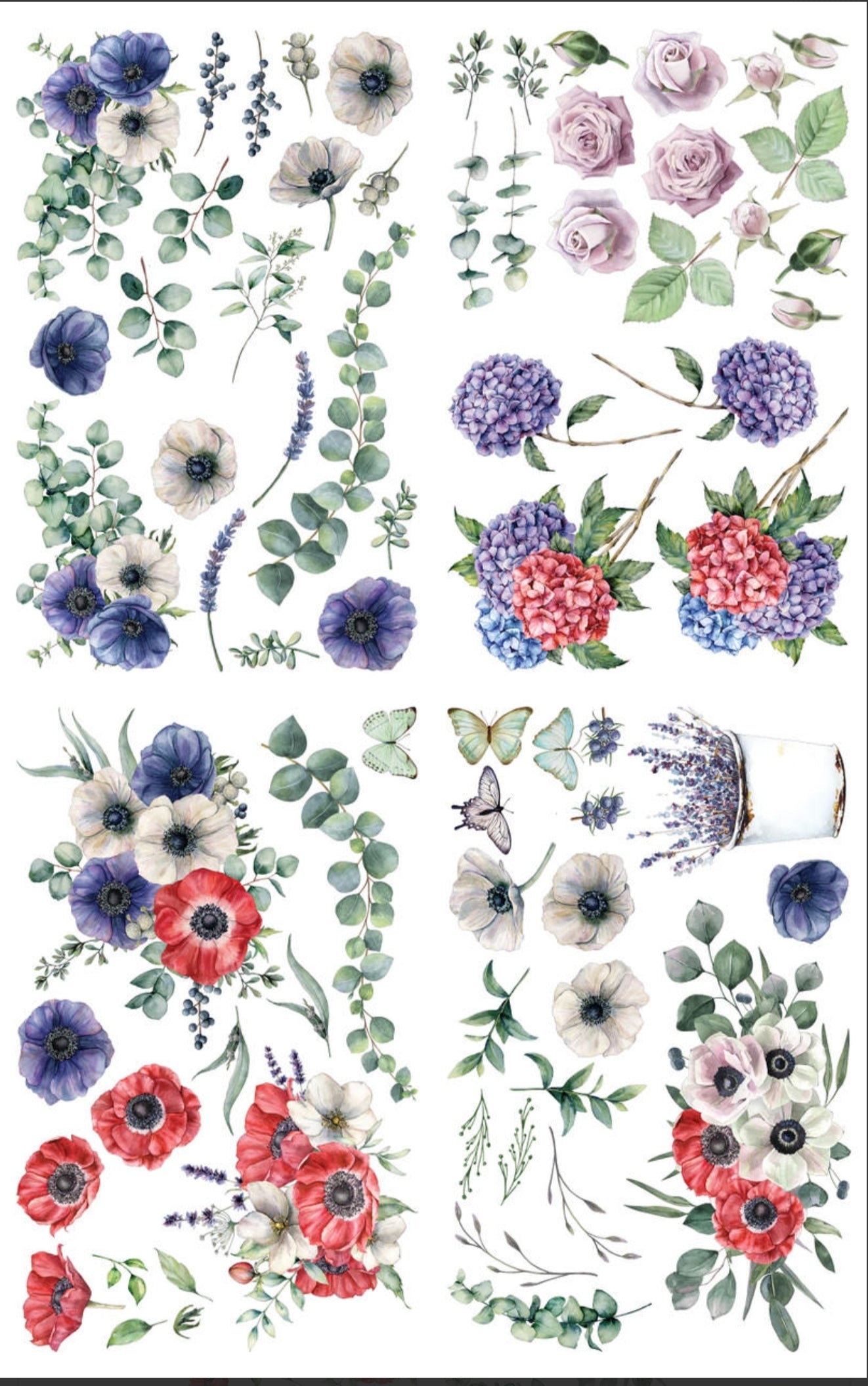 Belles & Whistles brand Transfers from Dixie Belle Paint