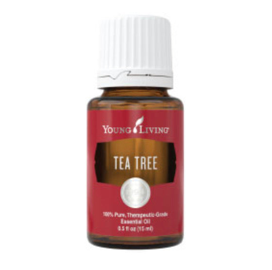 Tea Tree Essential Oil (Young Living Essential Oils)